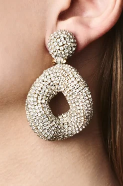 Kate Earrings-Crystals-Sachin & Babi New